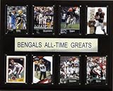 NFL Cincinnati Bengals All-Time Greats Plaque