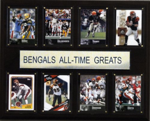 NFL Cincinnati Bengals All-Time Greats Plaque