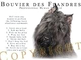 Bouvier des Flandres Human Trainer Adult Hoodie Hooded Sweatshirt