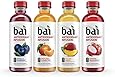 Bai Rainforest Variety Pack, 5 Calories, No Artificial Sweeteners, 1g Sugar, Antioxidant Infused Beverage