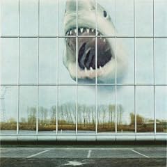Wilderness Heart [Vinyl LP]