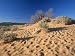 Coral Pink Sand Dunes State Park, Utah, USA Art Photographic Poster Print by Ruth Tomlinson, 24x18