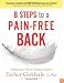 8 Steps to a Pain-Free Back: Natural Posture Solutions for Pain in the Back, Neck, Shoulder, Hip, Knee, and Foot (Remember When It Didn't Hurt)