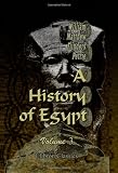 A History of Egypt: Volume 3. From the XIXth to the XXXth Dynasties