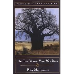The Tree Where Man Was Born
