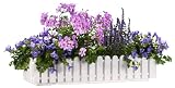 Emsa 956751200 Landhaus Blumenkasten 75 cm wei&szlig; - Emsa