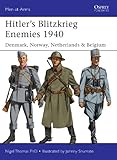 Hitler's Blitzkrieg enemies, 1940 : Denmark, Norway, Netherlands & Belgium