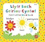 Llyfr bach geiriau cyntaf = First little word book