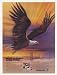 1986 Bald Eagle in Flight art USPS Express Mail Print Ad