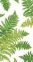 Entertaining with Caspari Set of 2 Fougere Fern Guest Towels, 30 Towels