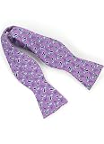 Cambridge Paisley Bow Tie in Violet