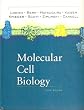 Molecular Cell Biology Fifth Edition