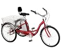 Currie Technologies iZIP Tricruiser Electric Tricycle (24-Inch Wheels)