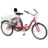 Currie Technologies iZIP Tricruiser Electric Tricycle (24-Inch Wheels)