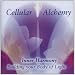 Cellular Alchemy Cd : Inner Harmony Building Your Body of Light