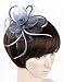 Fascinator Hat with Headband for Women Lady Grey