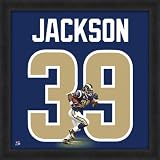 Steven Jackson St Louis Rams Uniframe Framed Jersey Photo 20x20