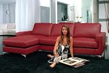 GD018 Boca Sectional Sofa in Red Leather KA06   Armen Living   GD018 SSOFA 2