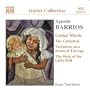 Agust�n Barrios: Guitar Music, Vol. 2