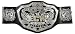 WWE ECW Championship Belt