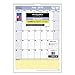 AT-A-GLANCE Monthly Wall Calendar, QuickNotes Design, Academic Year, 12 Months, July 2015–June 2016, 12 x 17 Inch Page Size (PM53-28)
