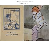 Ginger's Adventures (Rhyming Stories)