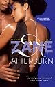 Afterburn: A Novel