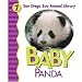 Baby Panda (San Diego Zoo Animal Library)