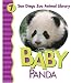 Baby Panda (San Diego Zoo Animal Library)