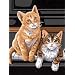 Dimensions Needlecrafts Paintworks Paint By Number, Keyboard Kittens