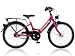 Kreidler Nightingale 20 Zoll 3-Gang (2008)