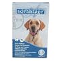 Advantage - Blue Box for Dogs over 55 pounds - 6 pack