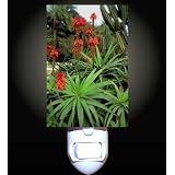 African Plants Decorative Night Light
