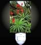 African Plants Decorative Night Light