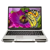 Toshiba Satellite P105-S6177 17" Widescreen Laptop (Intel Core Duo Processor T2250, 2 GB RAM, 120 GB Hard Drive, SuperMulti DVD Drive, Vista Premium)