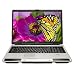 Toshiba Satellite P105-S6177 17" Widescreen Laptop (Intel Core Duo Processor T2250, 2 GB RAM, 120 GB Hard Drive, SuperMulti DVD Drive, Vista Premium)