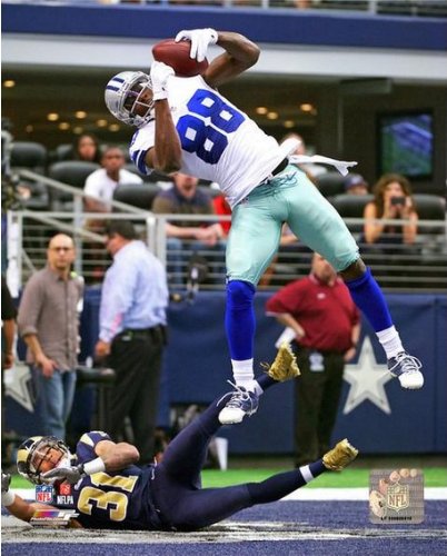 Dez Bryant Dallas Cowboys 2013 NFL Action Photo 8x10