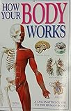 How your body works : a fascinating guide to the human body