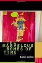 The Marvelous Bones of Time: Excavations and Explanations