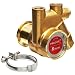 Procon 141A035F11CA Low Lead Brass Rotary Vane Pump, 3/8" NPTF, 48 GPH