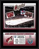 Phoenix Coyotes Sublimated 12x15 Plaque | Details: 2012 Pacific Division Champions