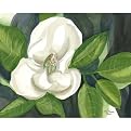 Magnolia on Charcoal - 20 X 24"