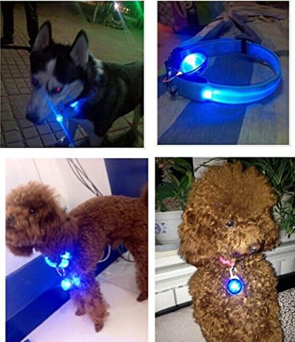 HGD® 8 Color Pet Dog Cat LED Light Safety Flash Buckle Clip Collar Circular Pendant (blue)