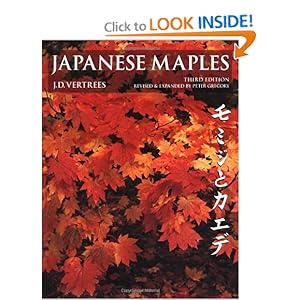 Japanese Maples: Momiji and Kaede