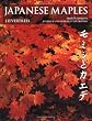 Japanese Maples: Momiji and Kaede
