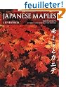 Japanese Maples, Momiji and Kaede: Momiji and Keade