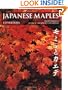 Japanese Maples: Momiji and Kaede