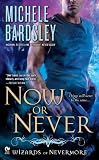 Now or Never: Wizards of Nevermore