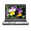 HP Pavilion DV9812US 17-inch Laptop (AMD Turion 64 X 2 Dual Core TL-60 Processor, 3 GB RAM, 250 GB Hard Drive, DVD Drive, Vista Premium)