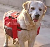 eSingyo Waterproof Travel Camping Hiking Dog Back Pack BAG for large dogs